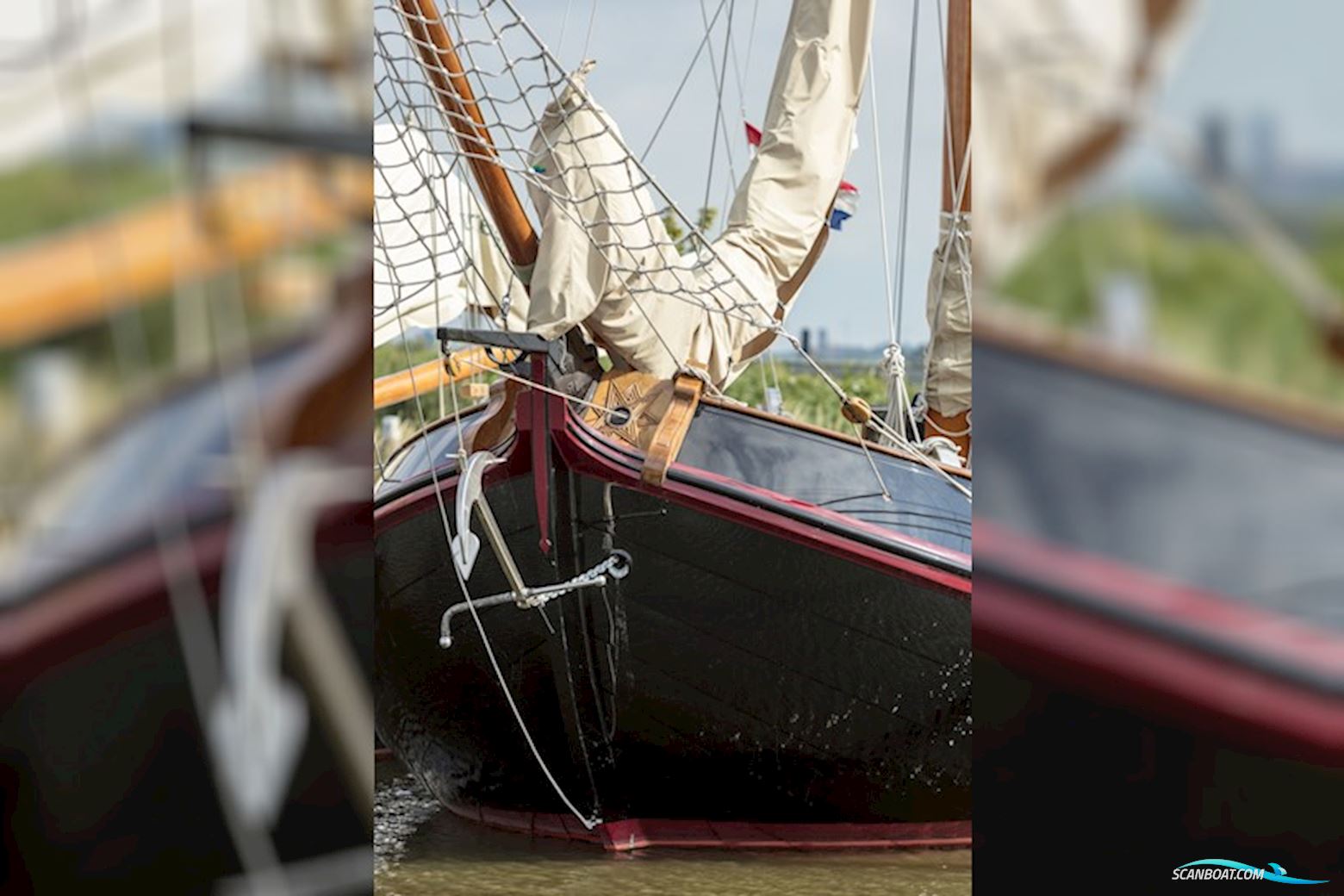 Lemsteraak Roefaak - Otter