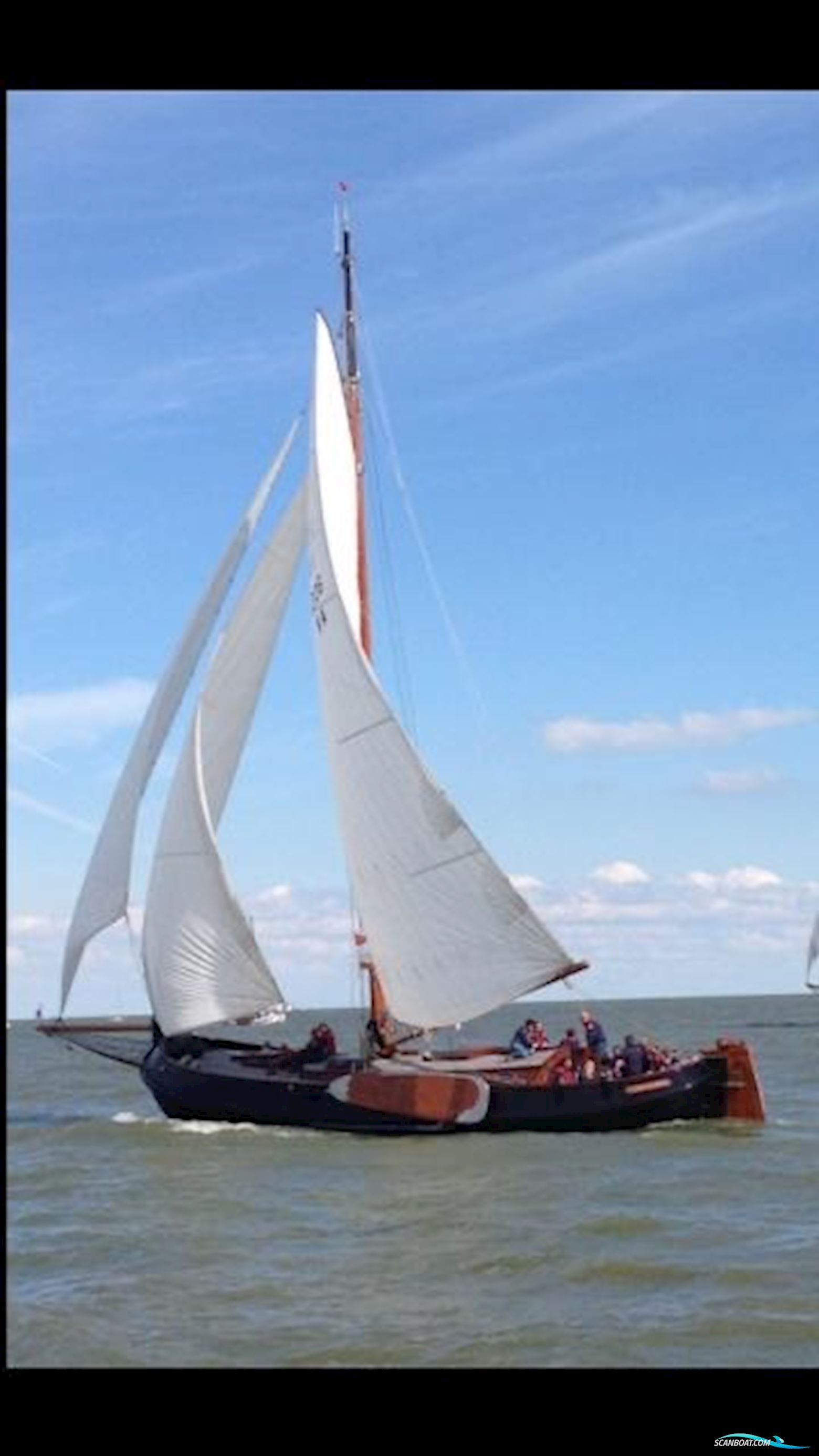 Lemsteraak Roefaak - Sydsulver