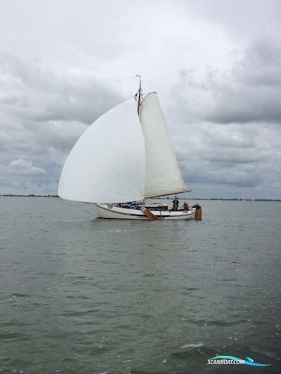Lemsteraak Roefmodel 1010 - Dolfijn Sejlbåd 1990, med Lister Petter motor, Holland