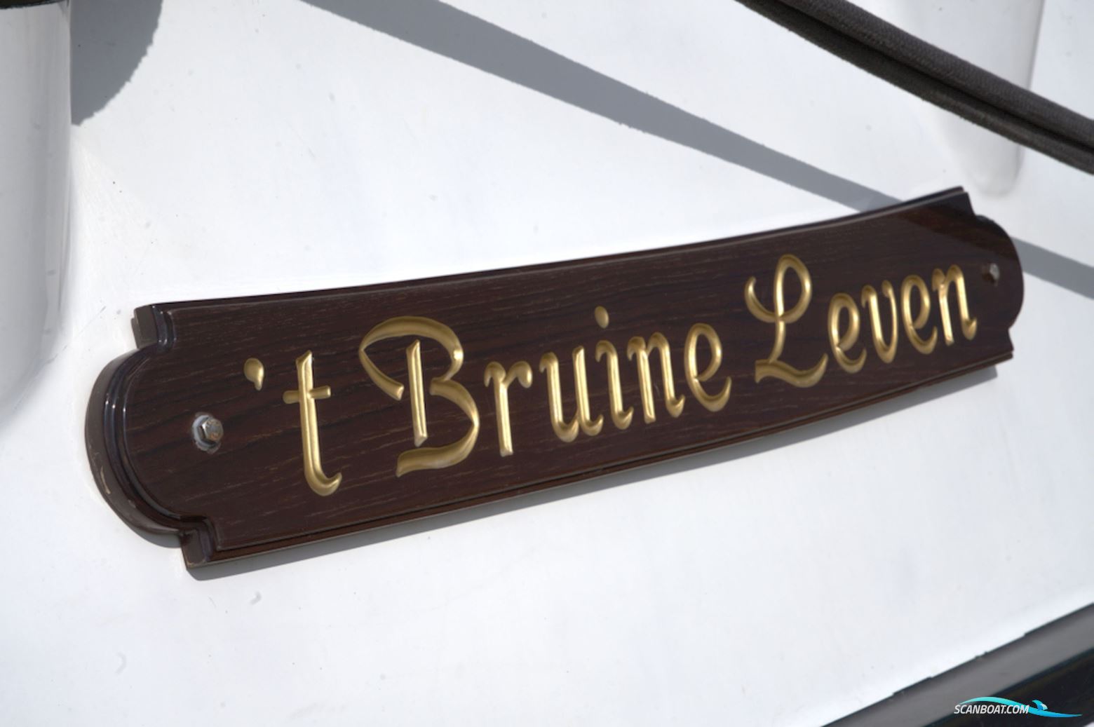 Lemsteraak Roefmodel 't Bruine Leven