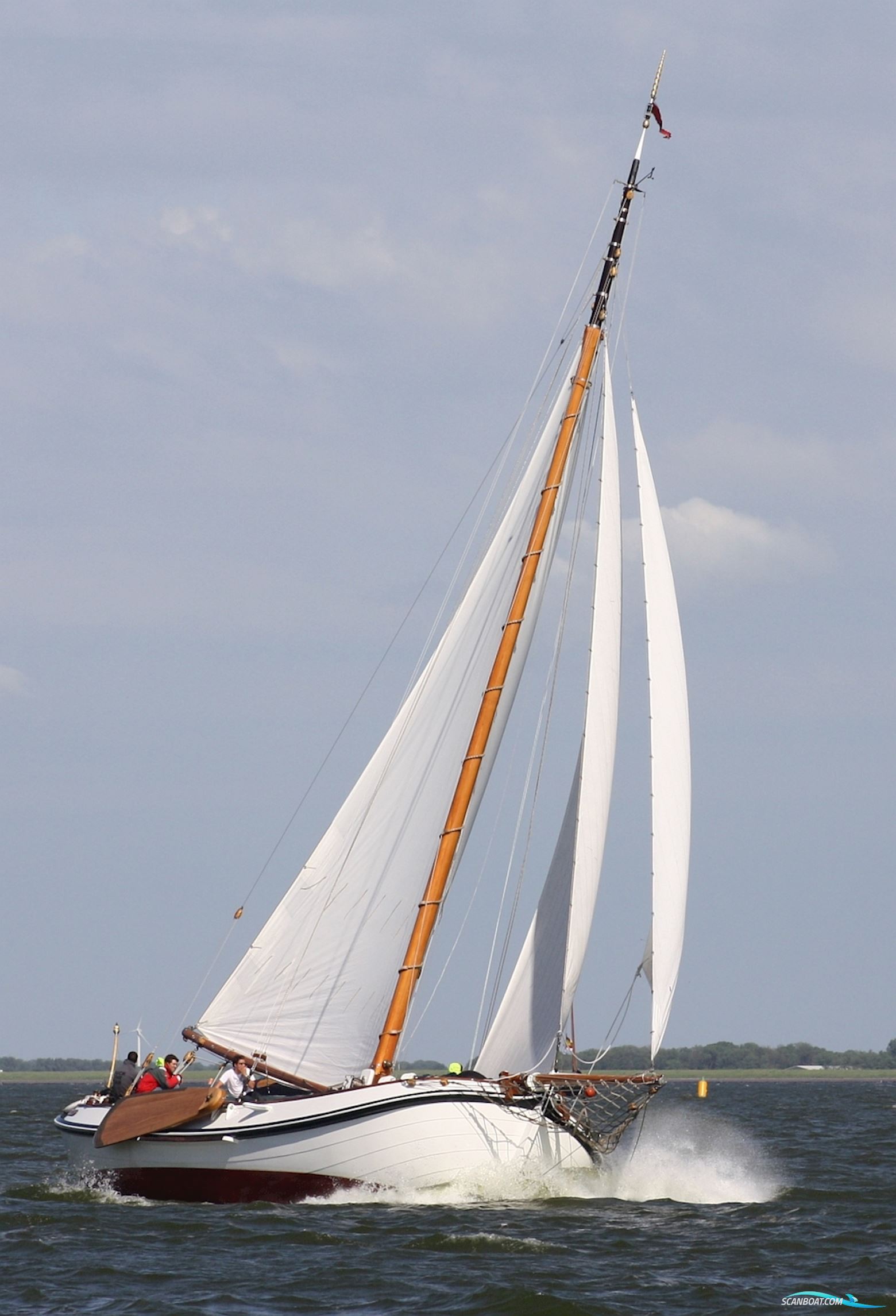 Lemsteraak Visotter - Roefuitvoering