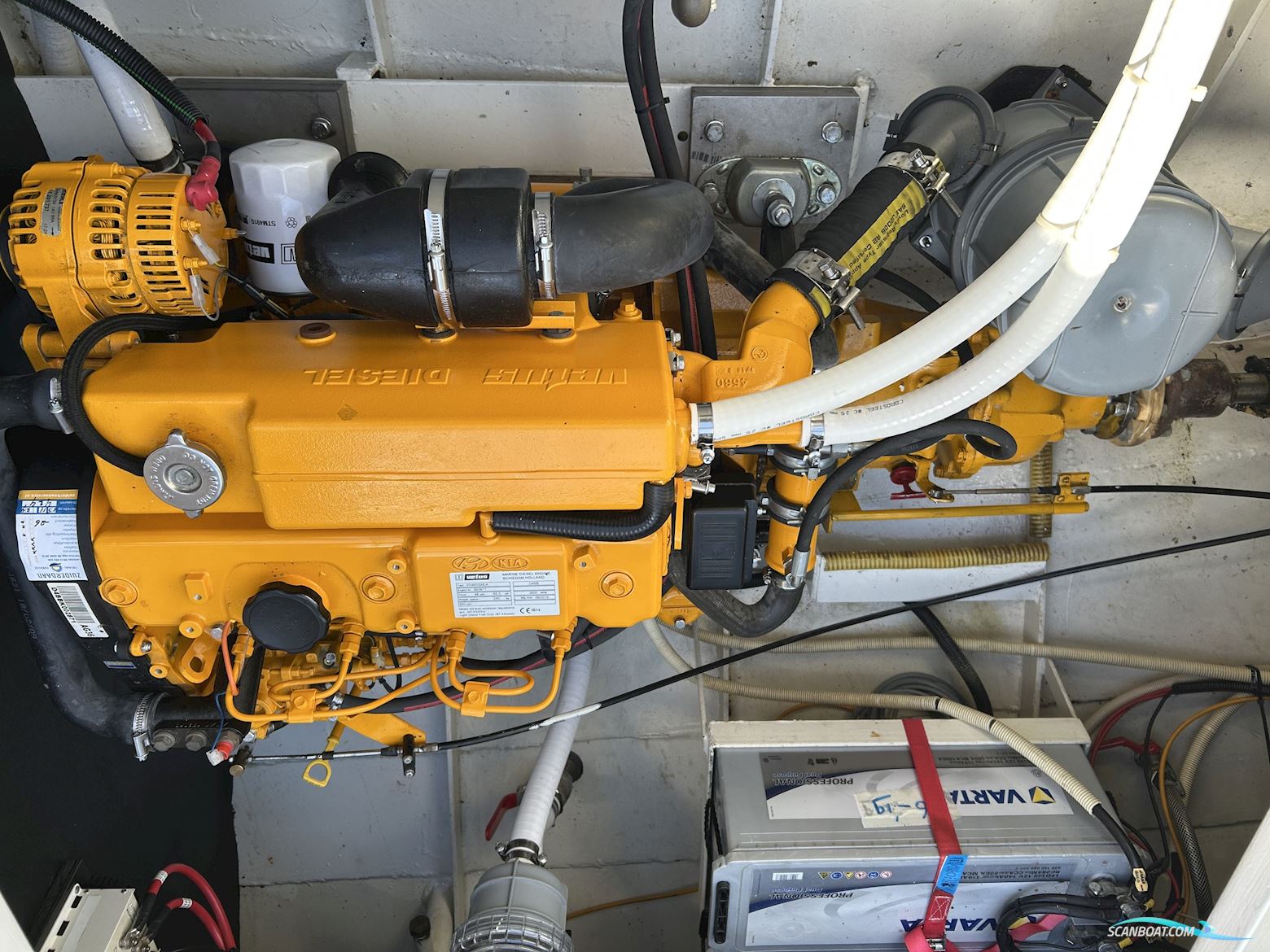 Lemsteraak Walrus - Roefuitvoering