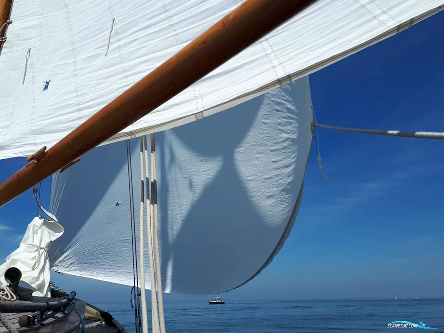 Lemsteraak Walrus - Roefuitvoering