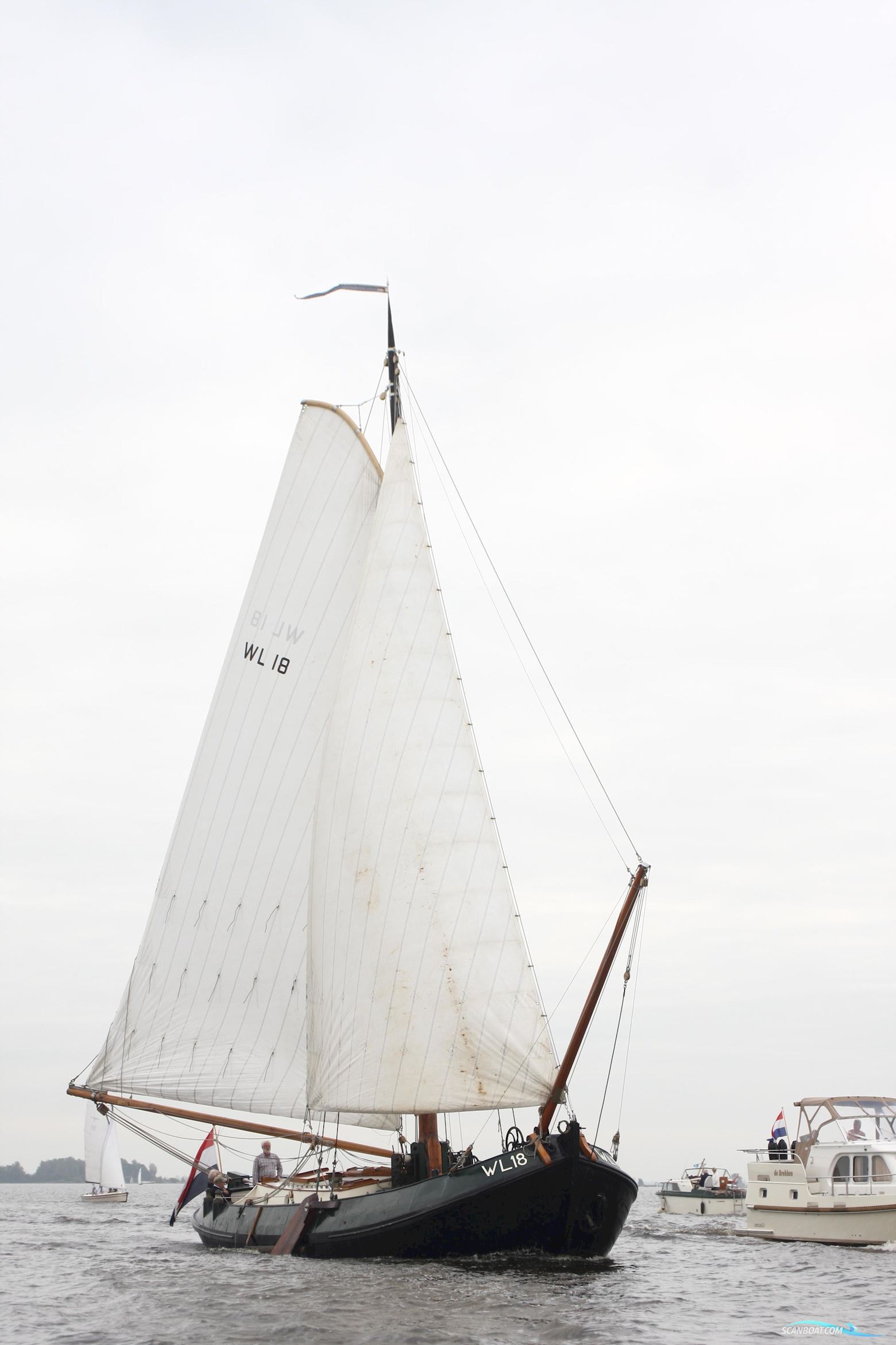 Lemsteraak WL 18 Fasant - Roefuitvoering Jachtuitvoering