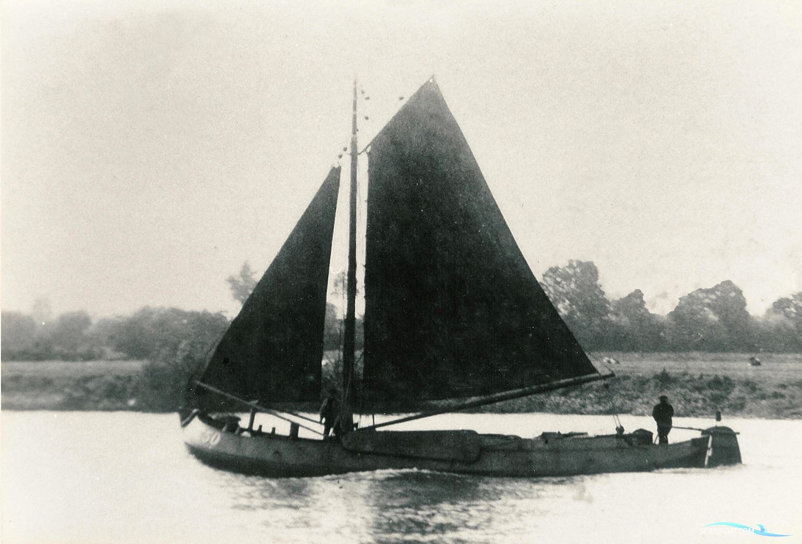 Lemsteraak WL 18 Fasant - Roefuitvoering Jachtuitvoering