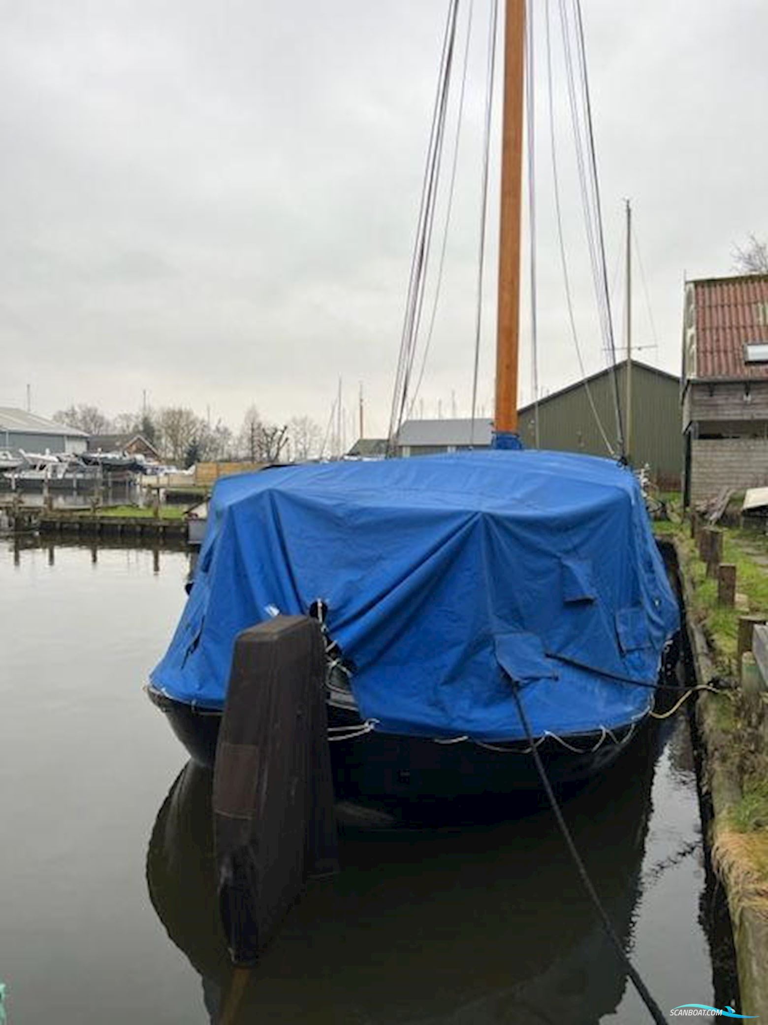 Lemsteraak WL 18 Fasant - Roefuitvoering Jachtuitvoering
