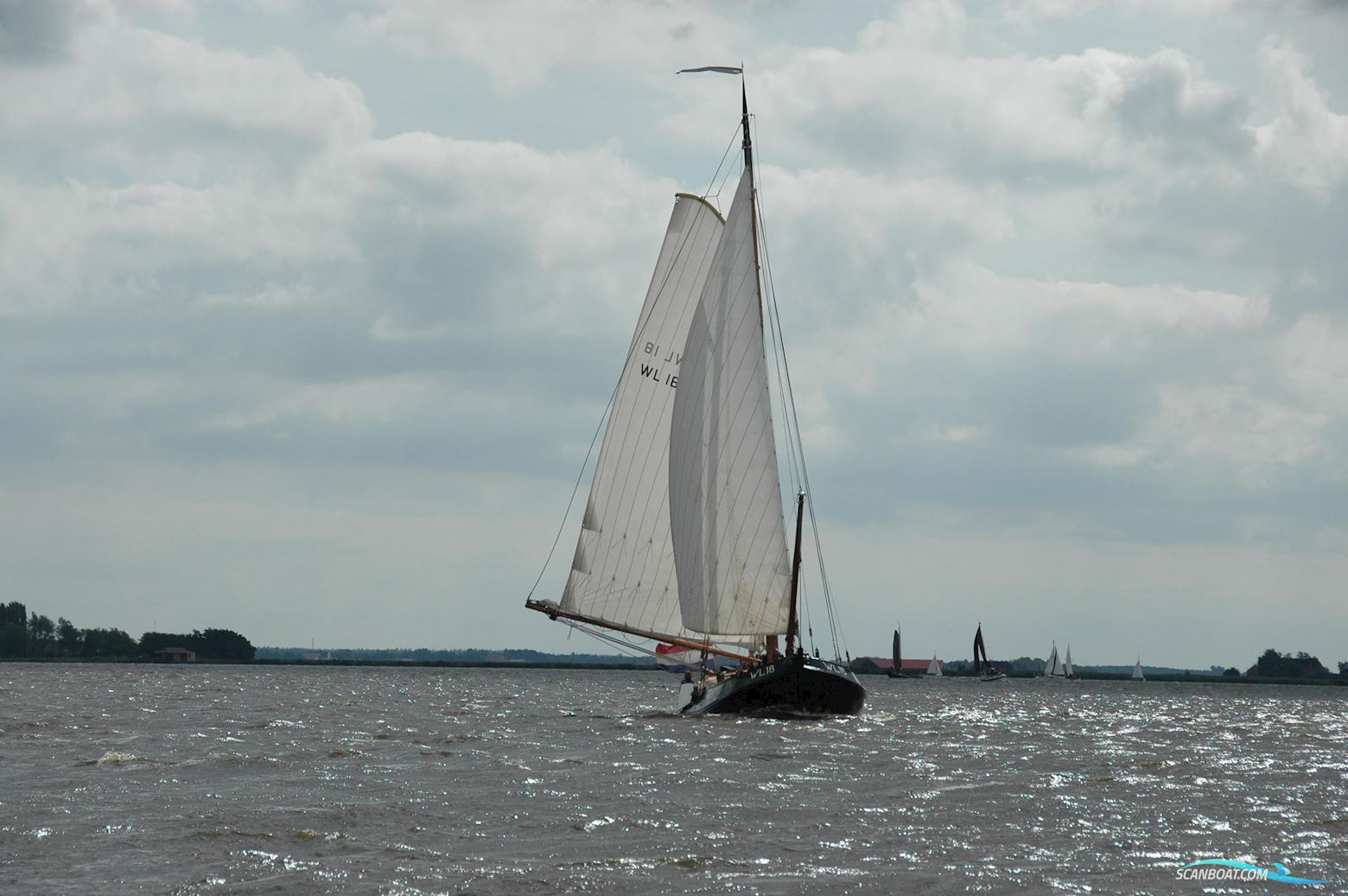 Lemsteraak WL 18 Fasant - Roefuitvoering Jachtuitvoering
