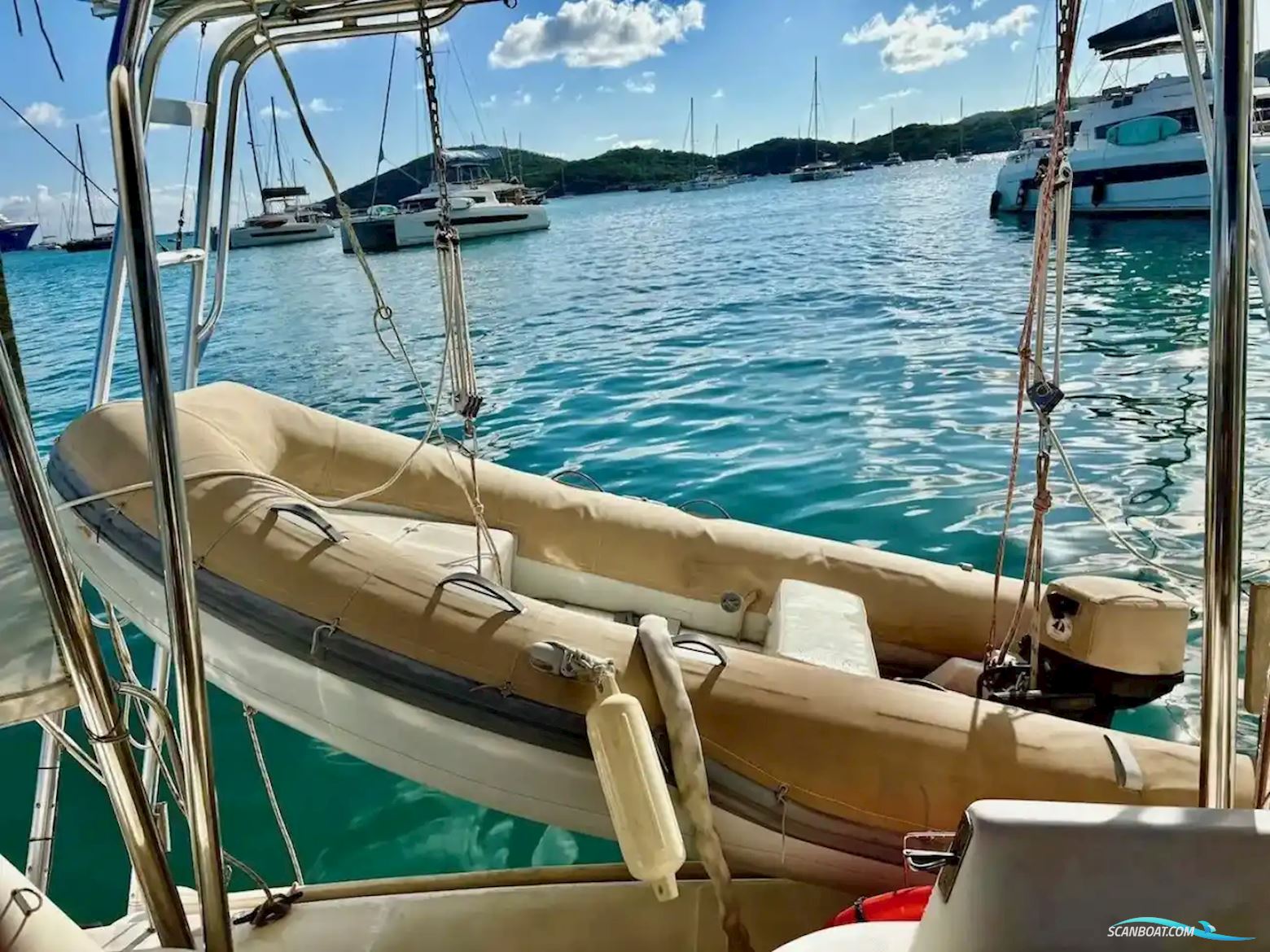 Leopard 38