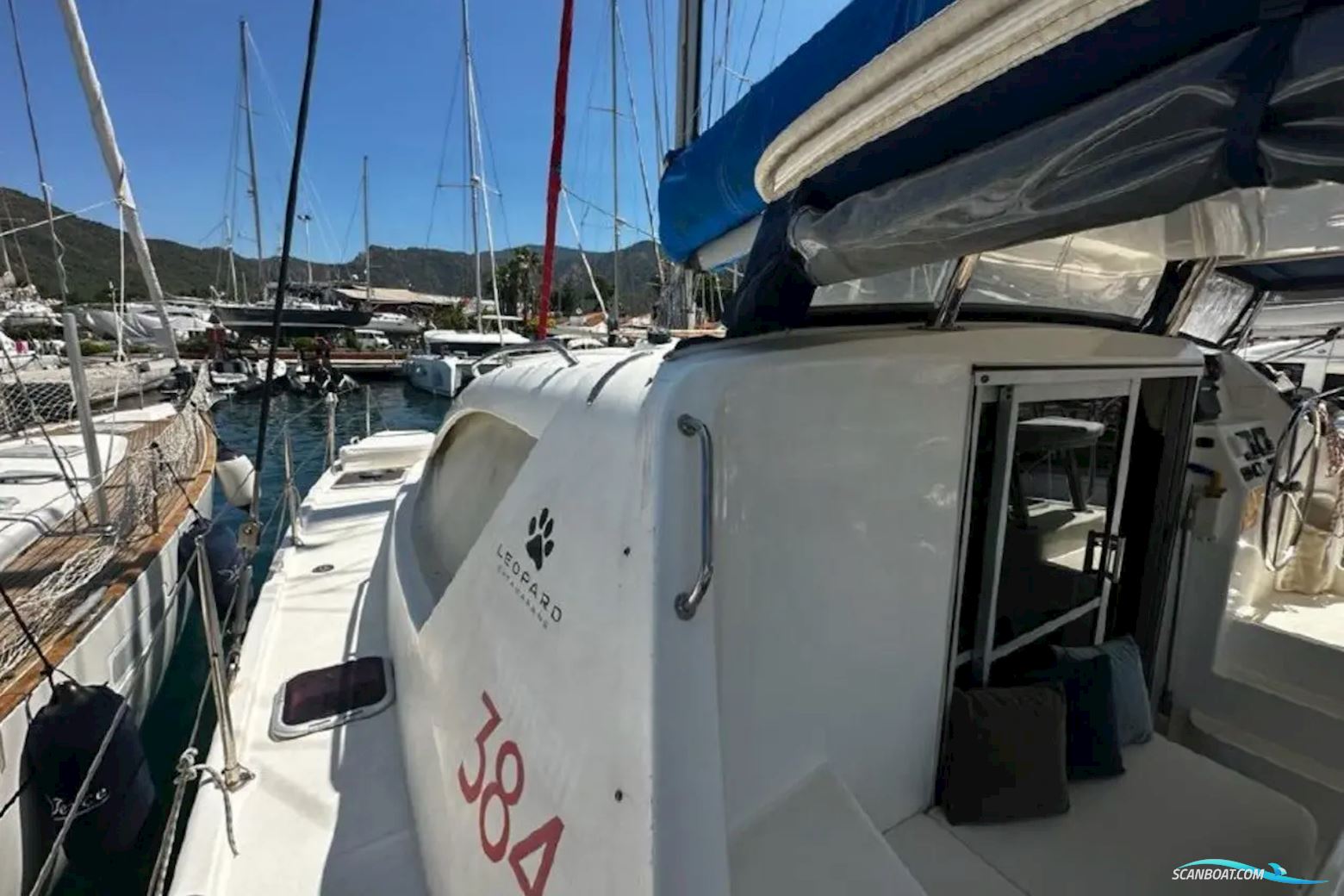Leopard 38
