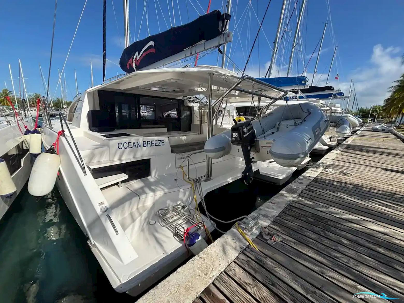Leopard 40