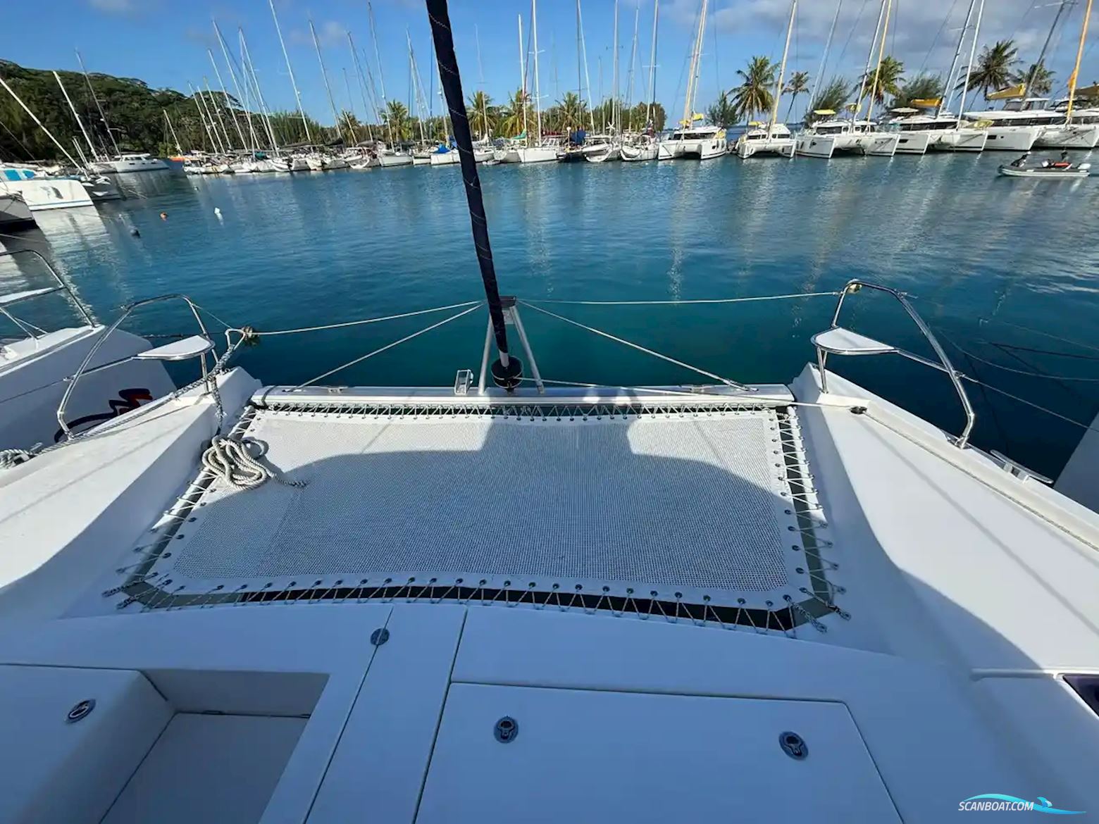 Leopard 40