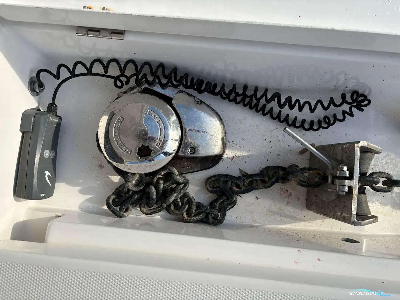 Leopard 40