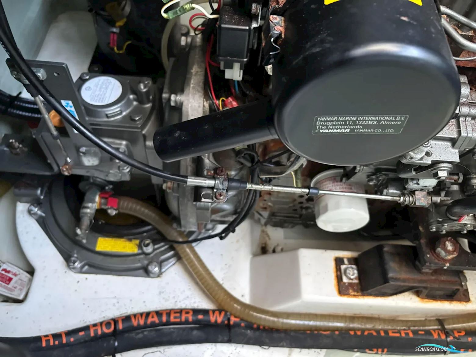 Leopard 40