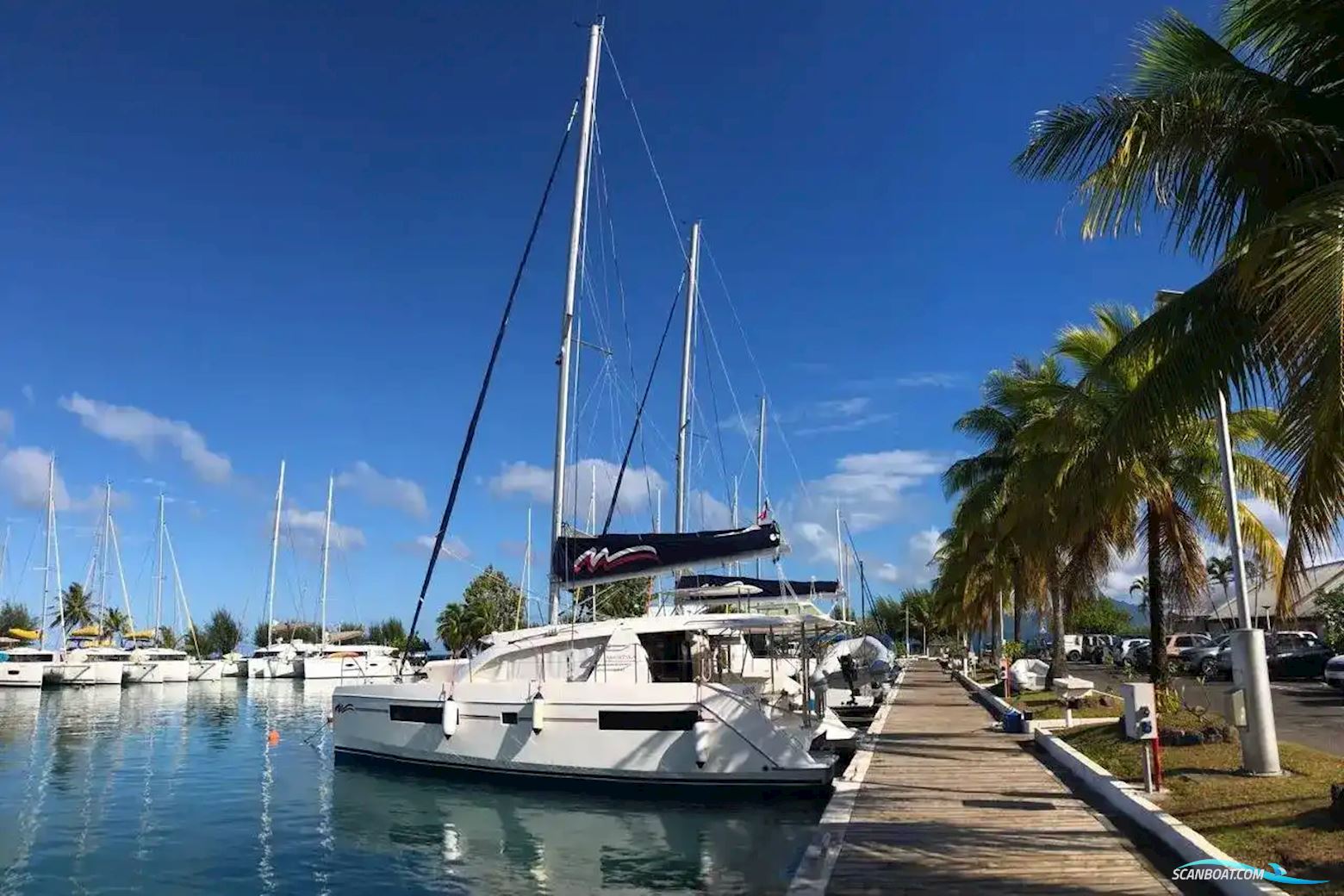 Leopard 40
