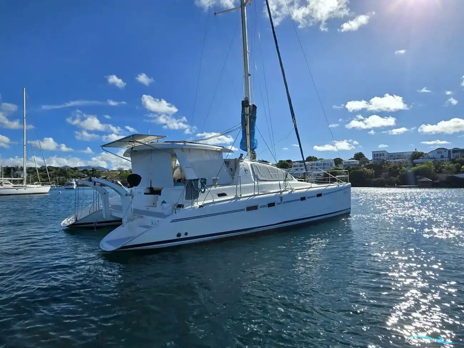 Leopard 43