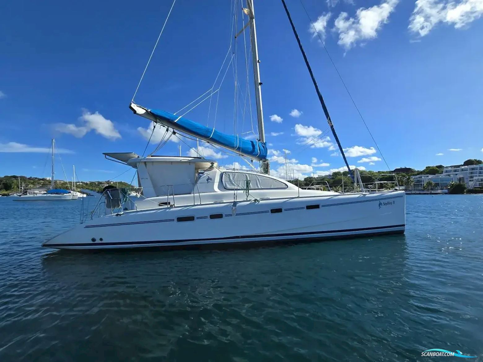 Leopard 43