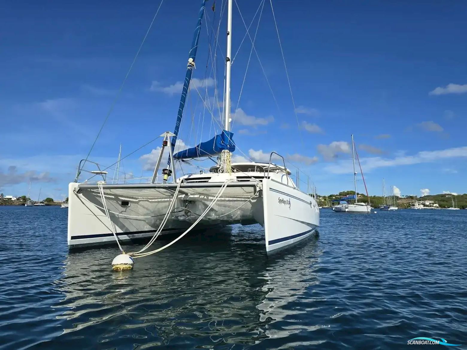 Leopard 43