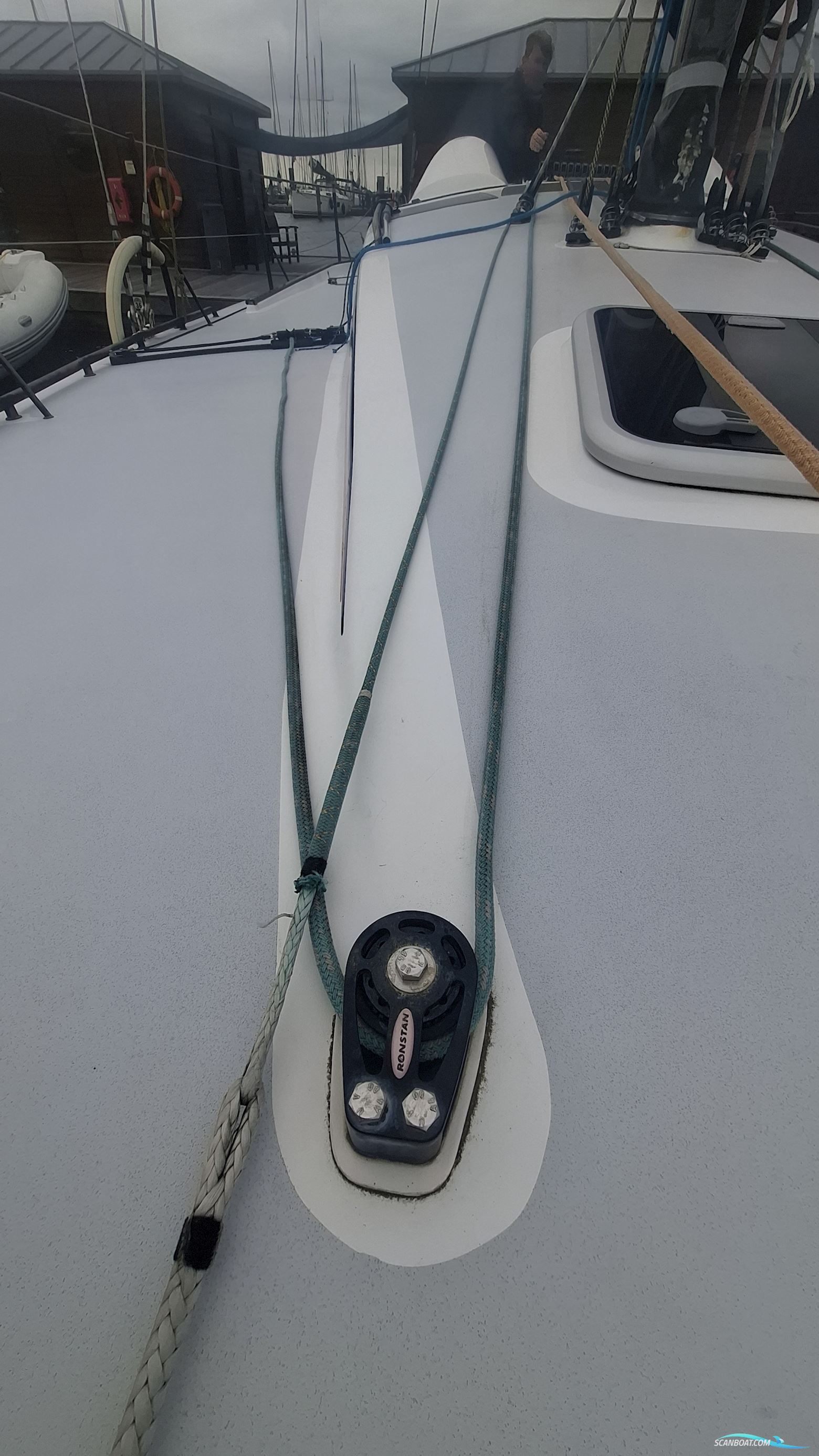 Lion Yachts Class 40