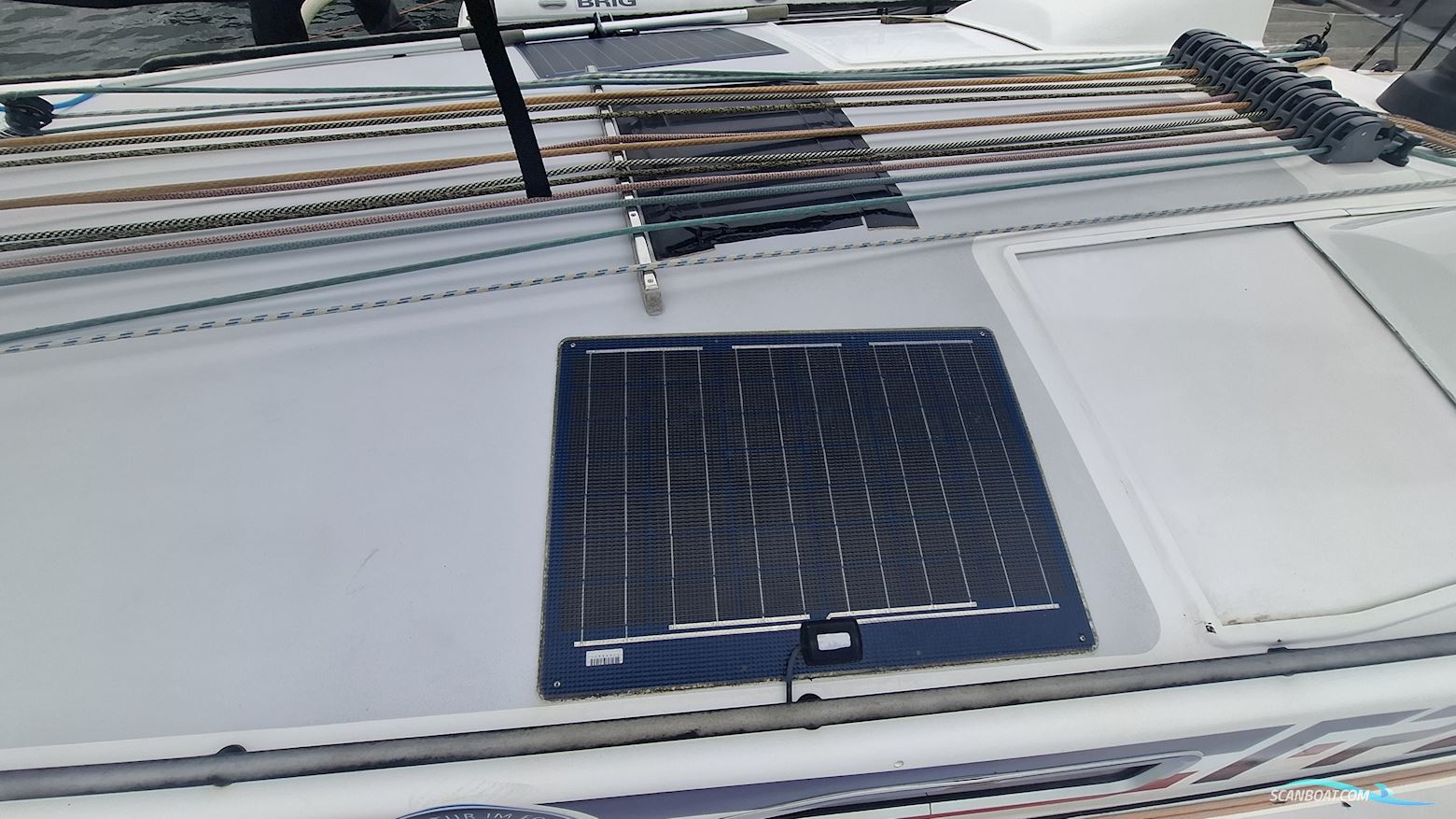 Lion Yachts Class 40