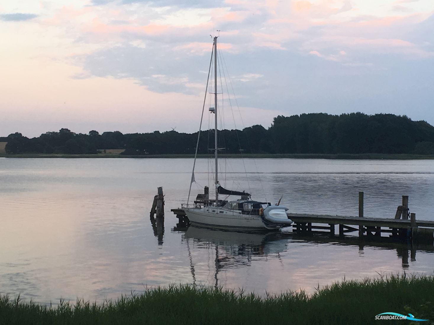 LM 35 Vitesse Cabrio