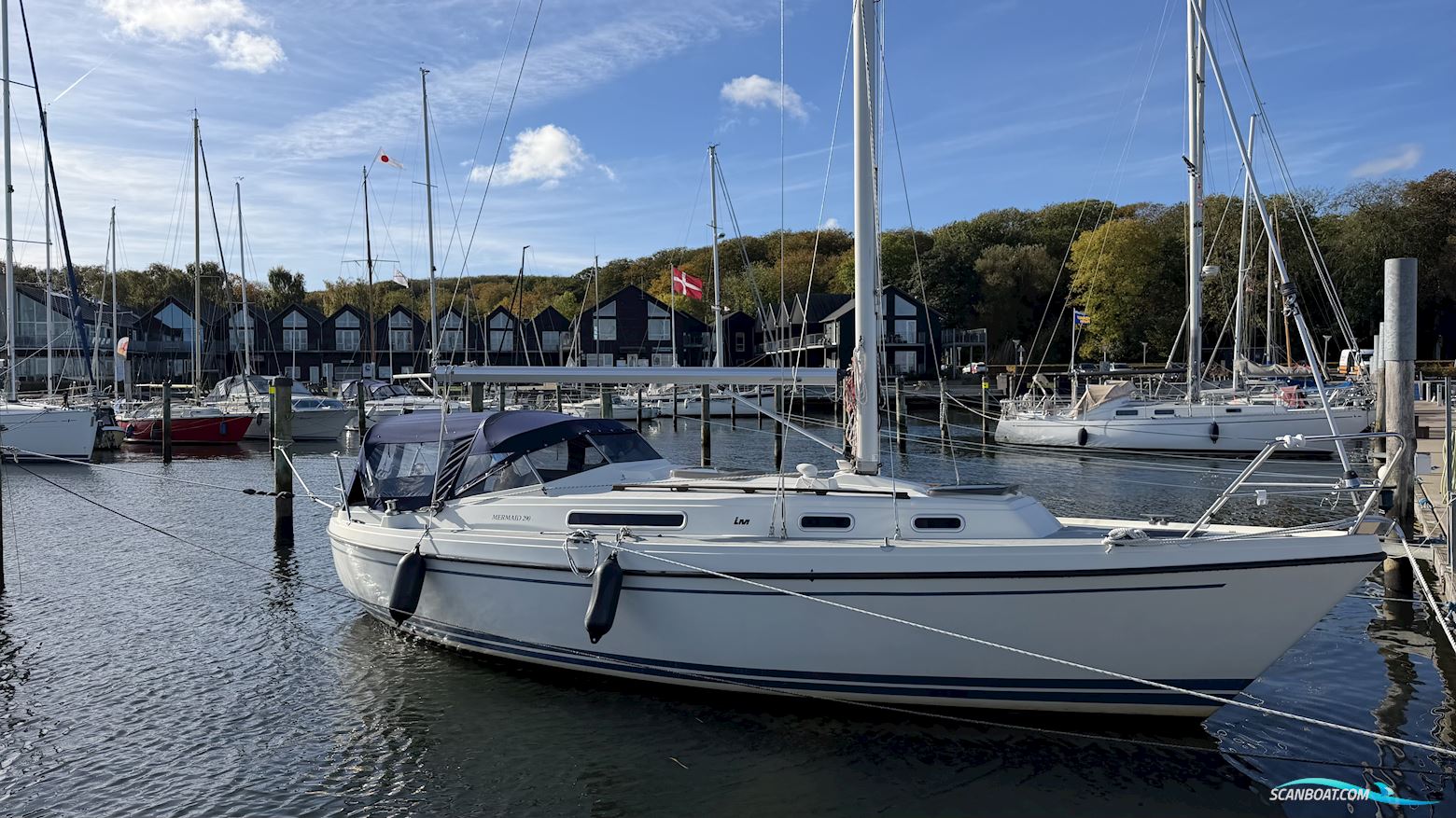LM Mermaid 290