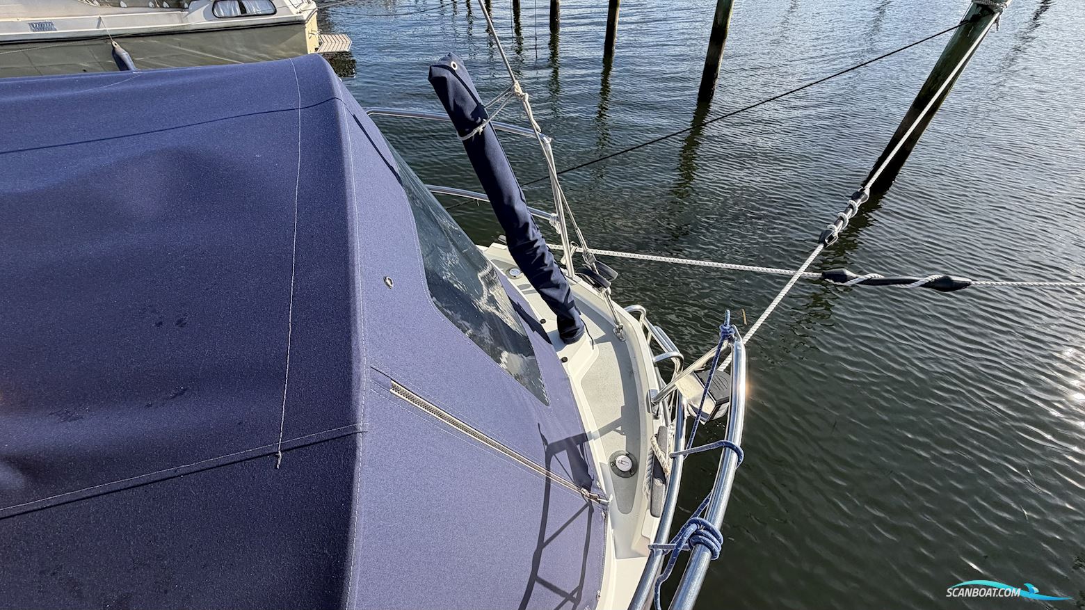LM Mermaid 290