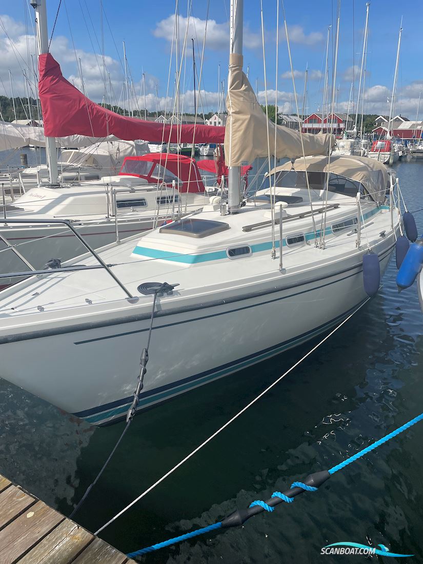LM Mermaid 315