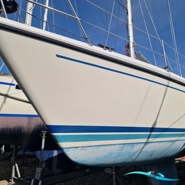 LM Mermaid 315