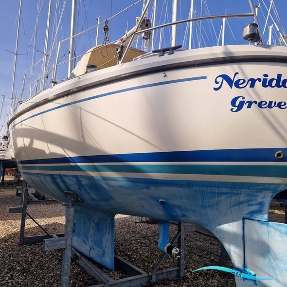 LM Mermaid 315