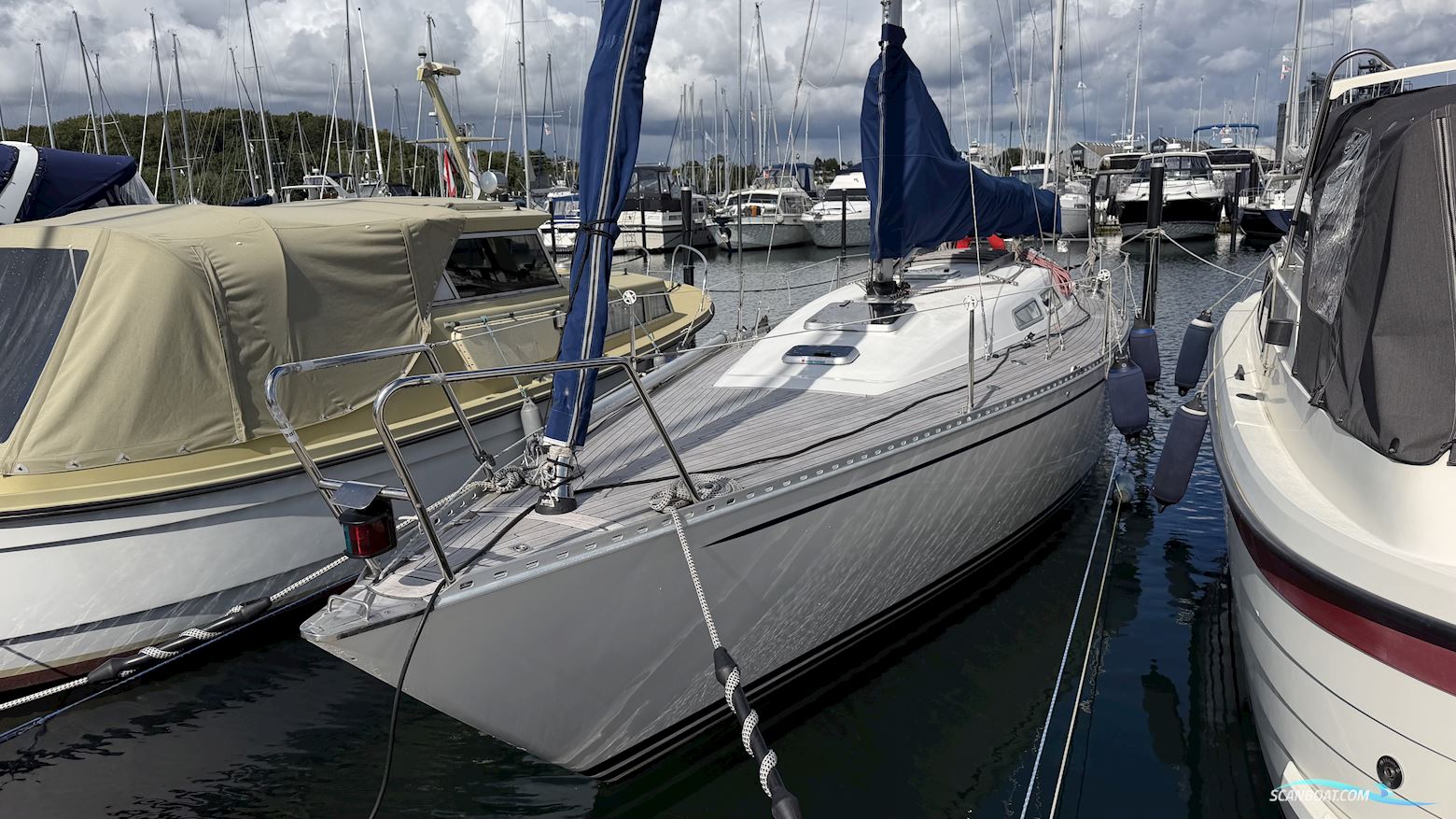 Luffe 37