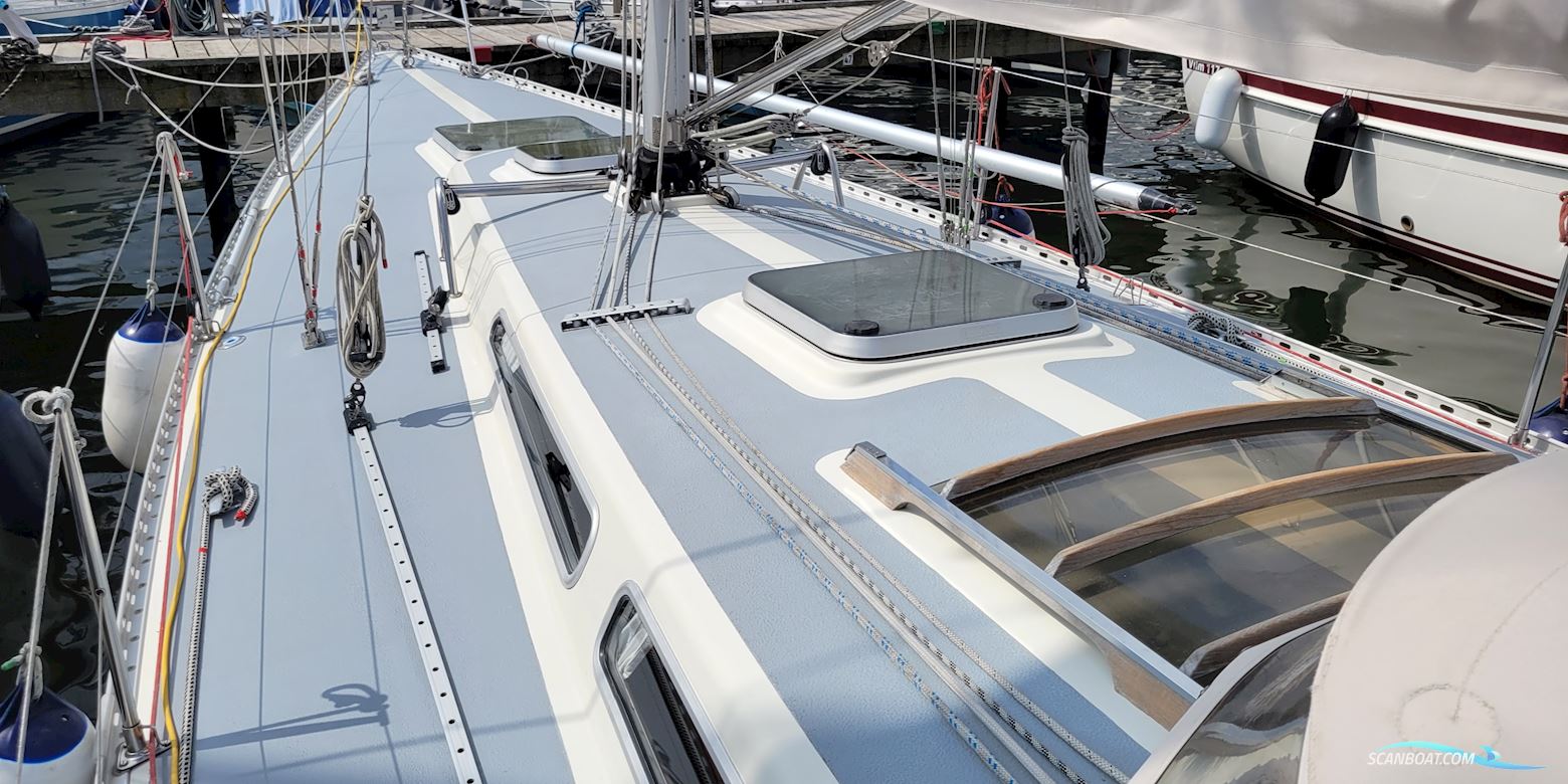 Luffe 44