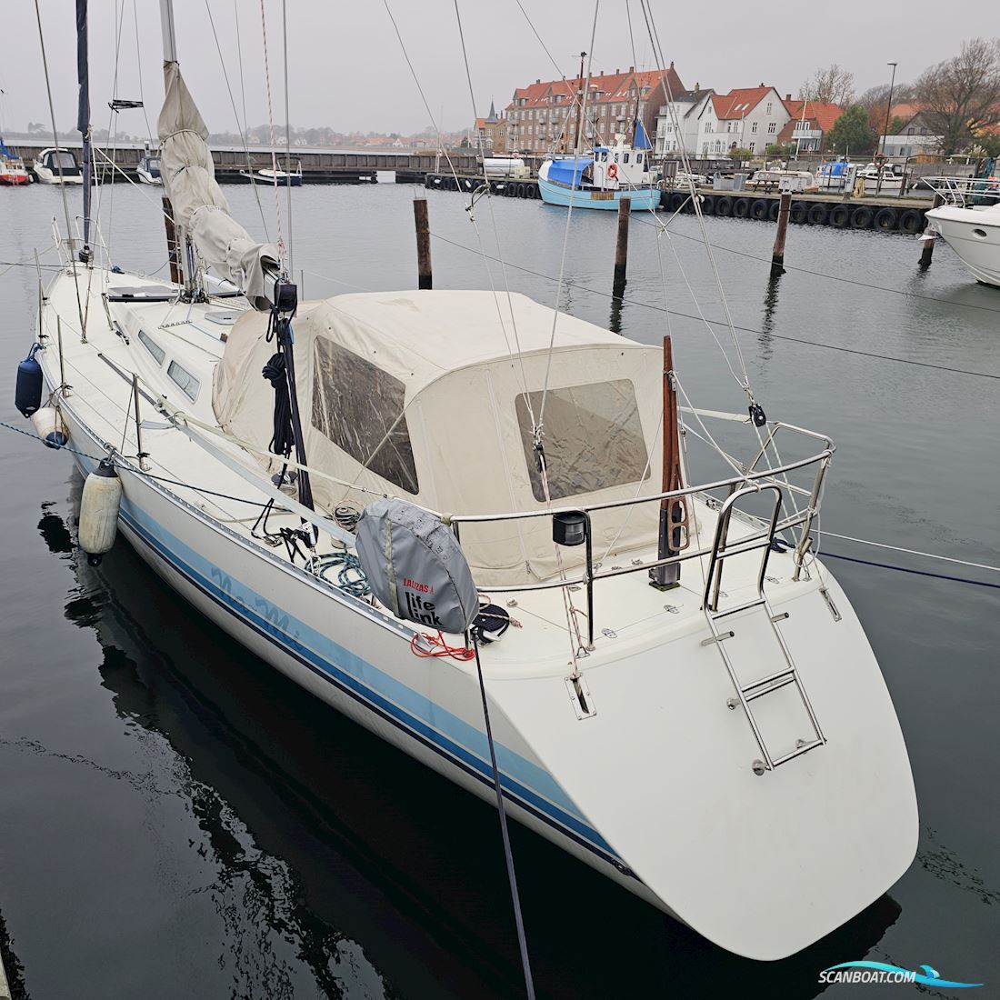 Luffe 44