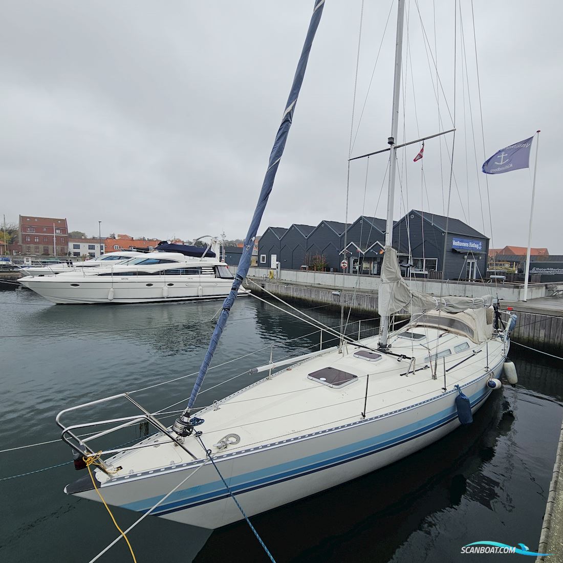 Luffe 44
