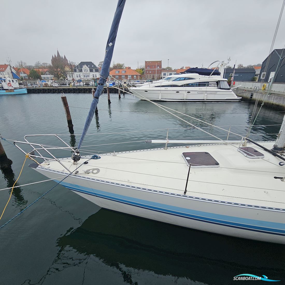 Luffe 44