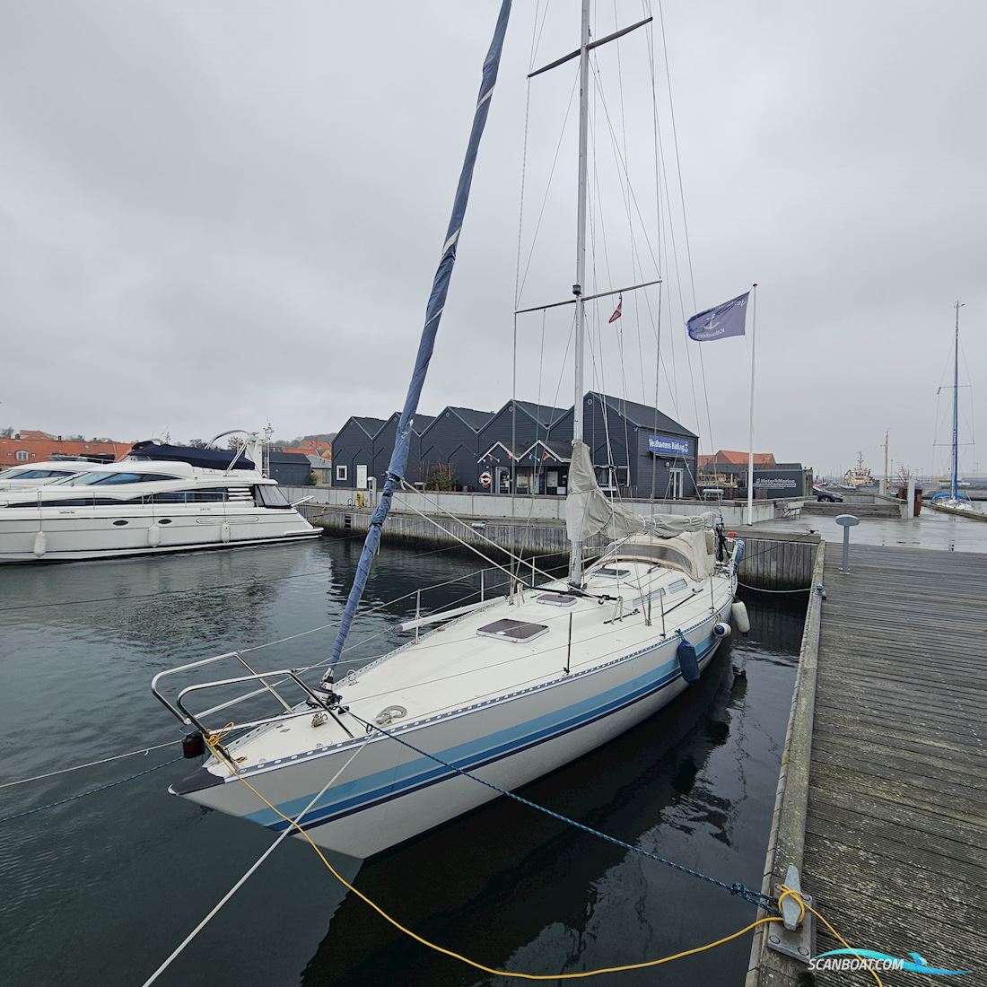 Luffe 44