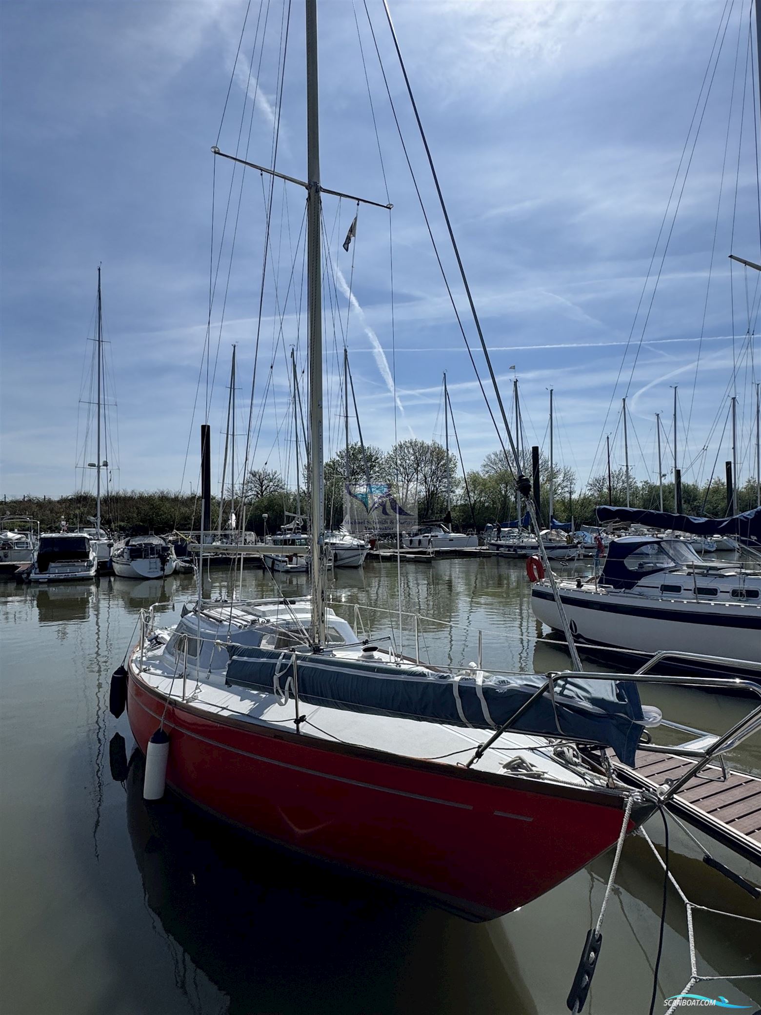 Mallard Ecume de Mer