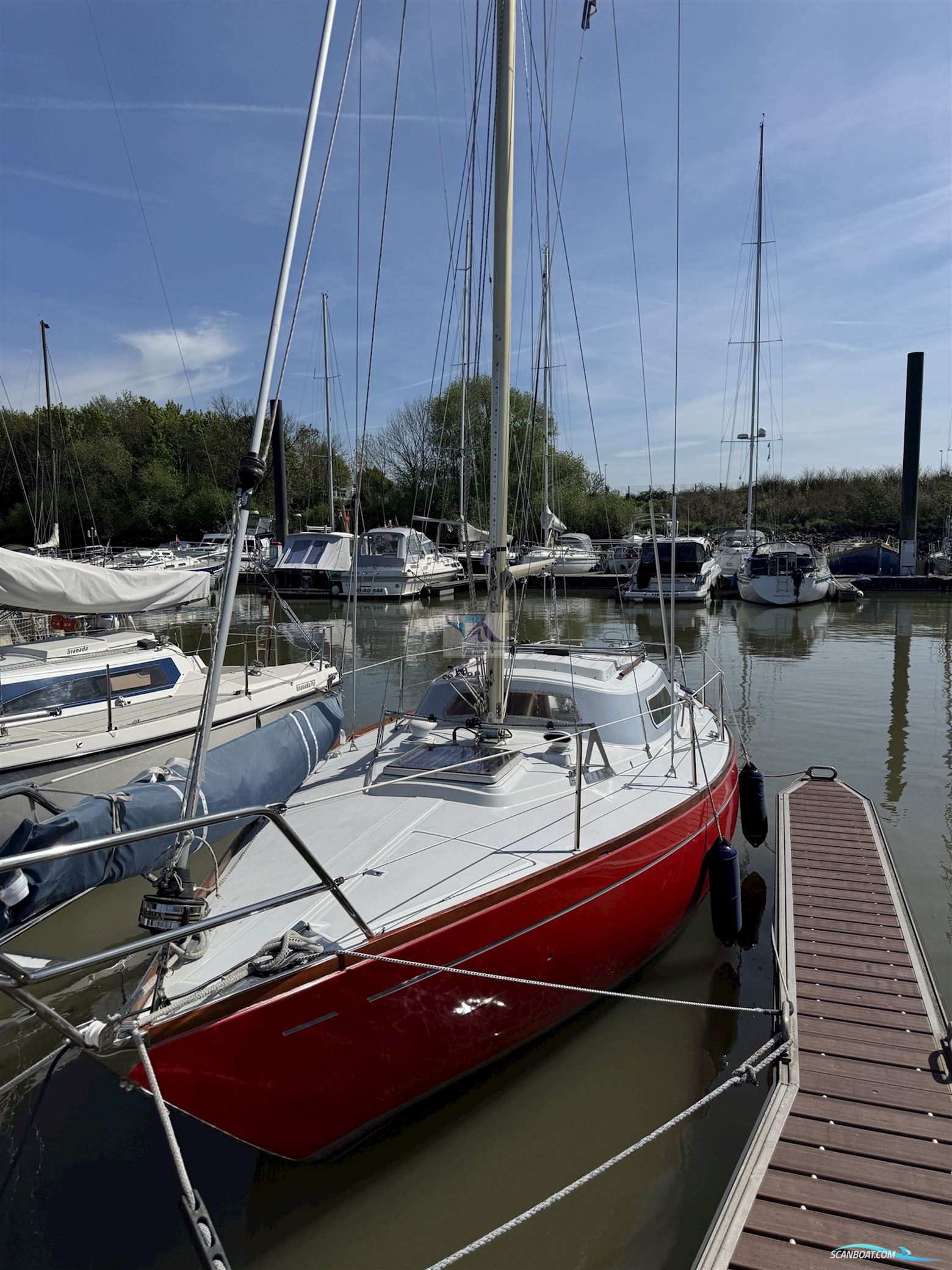 Mallard Ecume de Mer