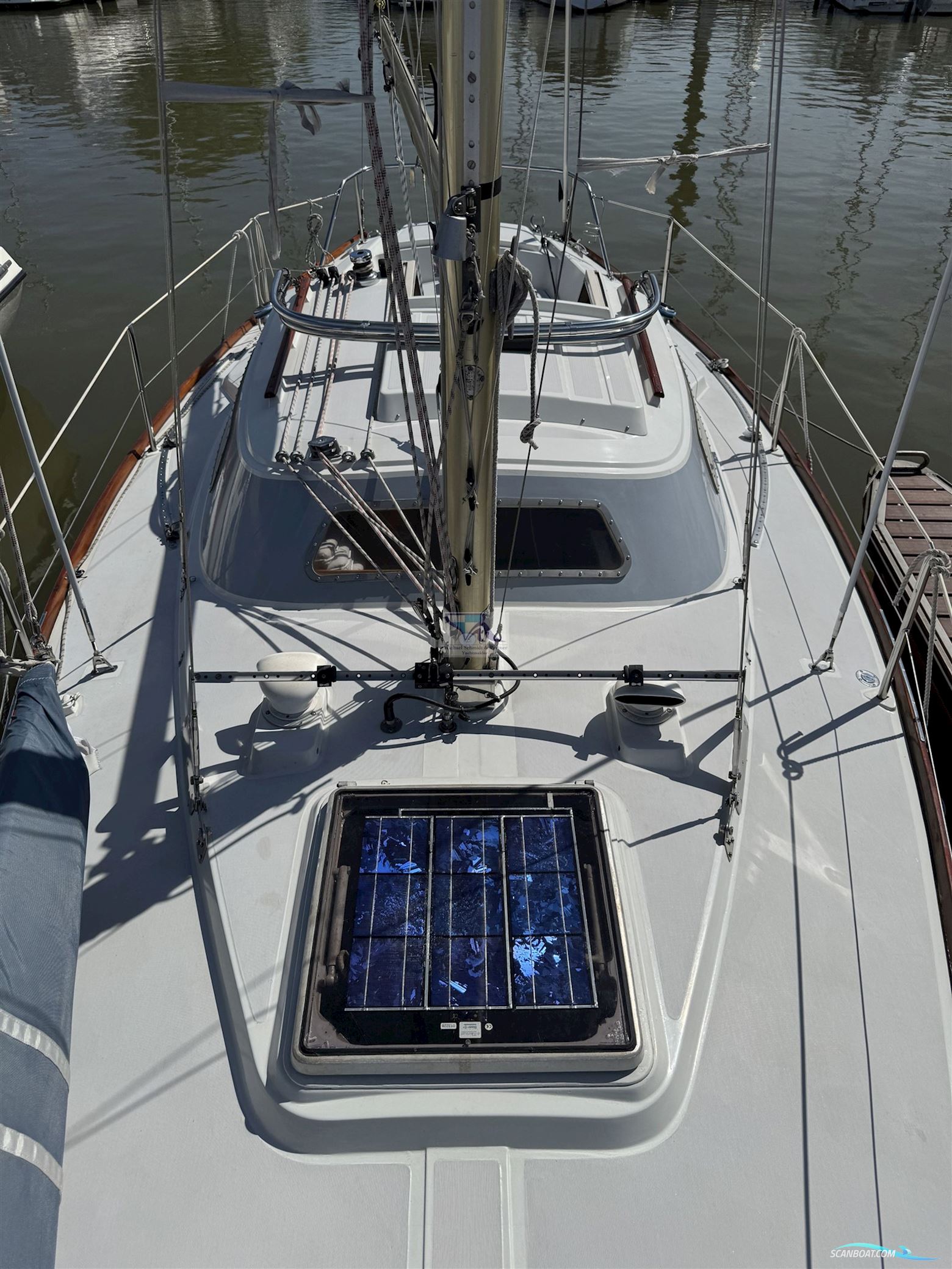 Mallard Ecume de Mer