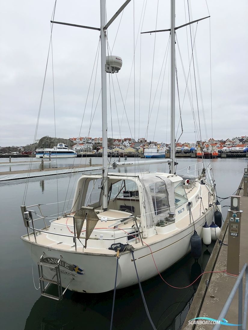 Malö 50 
