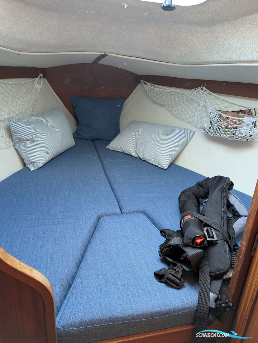 Mamba 29