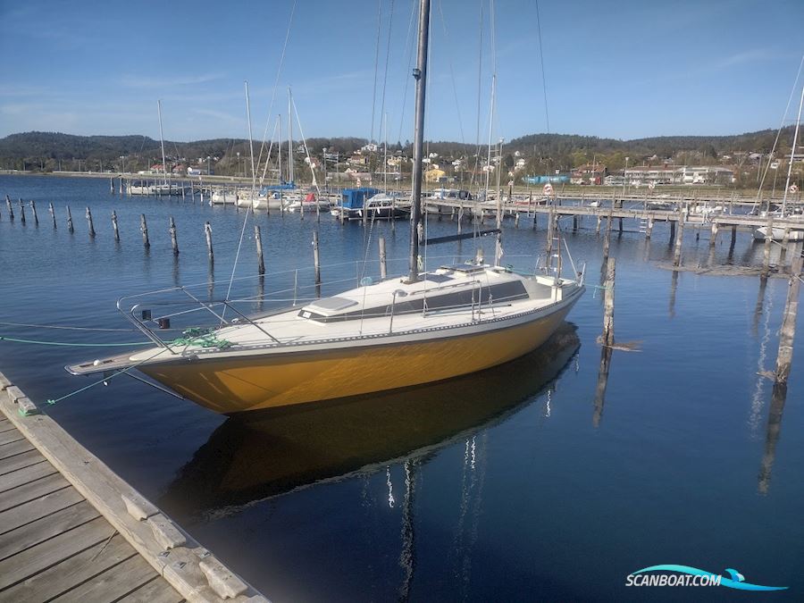 Marinette 33