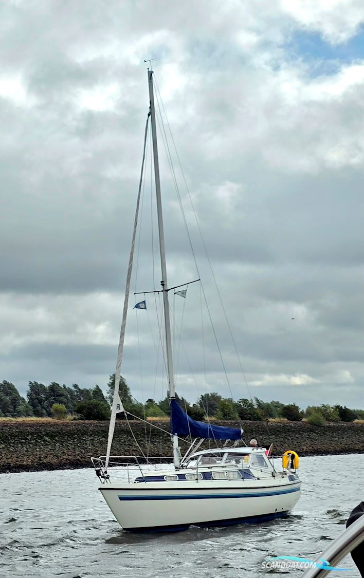 Mascot 28