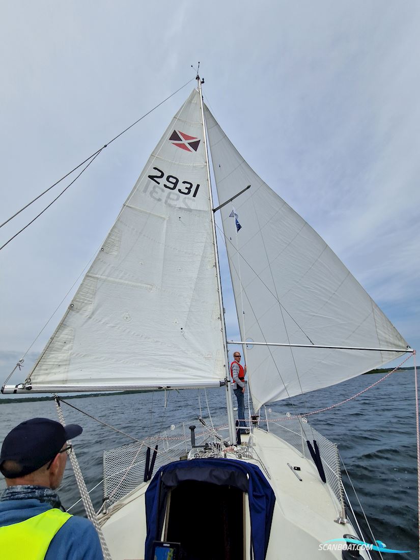 Maxi 77