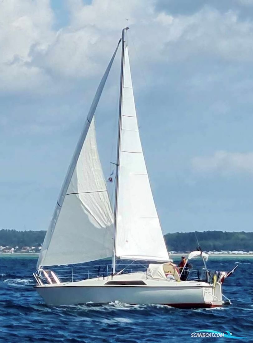 Maxi 84