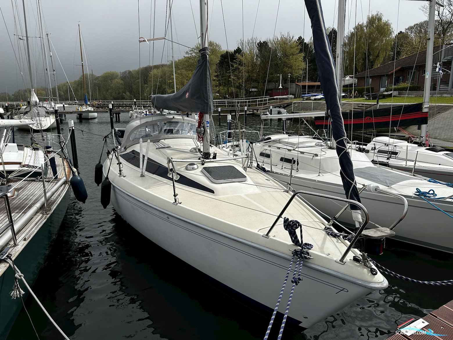 Maxi Fenix 28