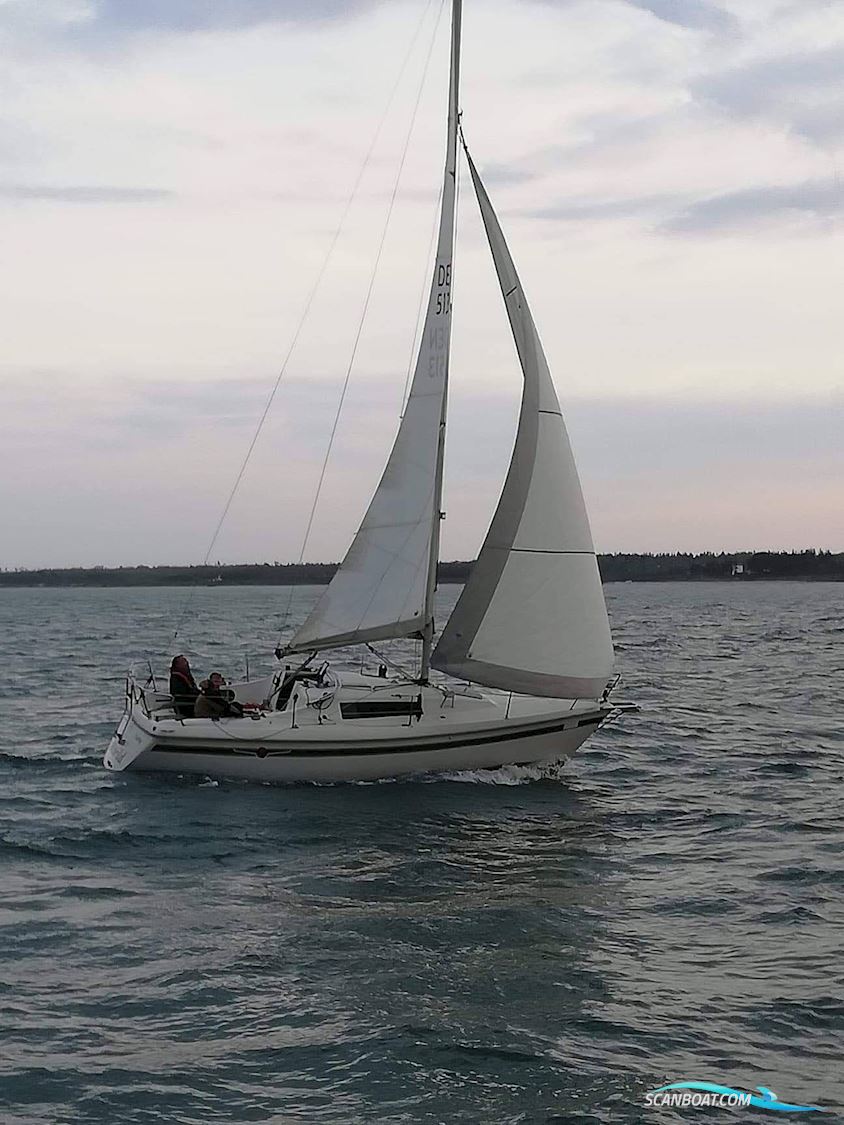 Maxi Fenix Dinette Sejlbåd 1983, med Volvo Penta D1-13 motor, Danmark