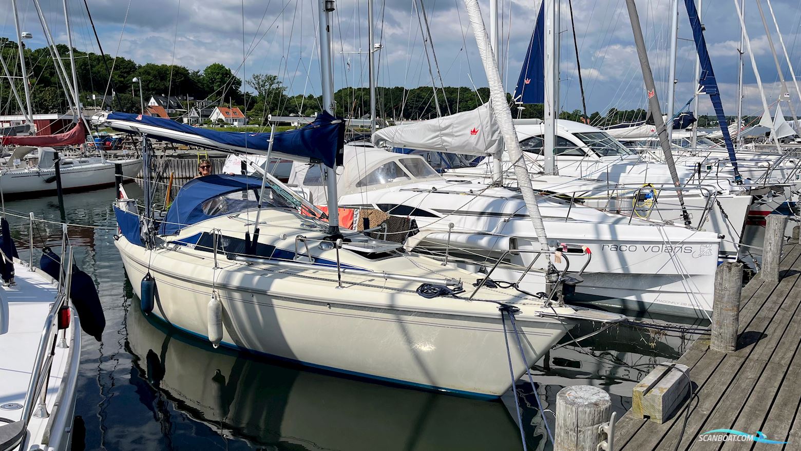 Maxi Fenix Dinette Sejlbåd 1981, med Volvo Penta MD5 motor, Danmark