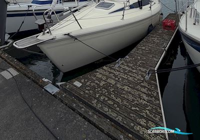 Maxi Fenix Dinette Sejlbåd 1981, med Volvo Penta MD5 motor, Danmark