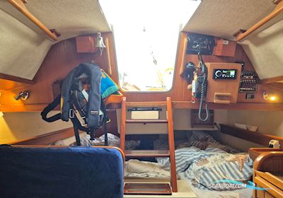 Maxi Fenix Dinette Sejlbåd 1984, med Volvo Md5A motor, Danmark