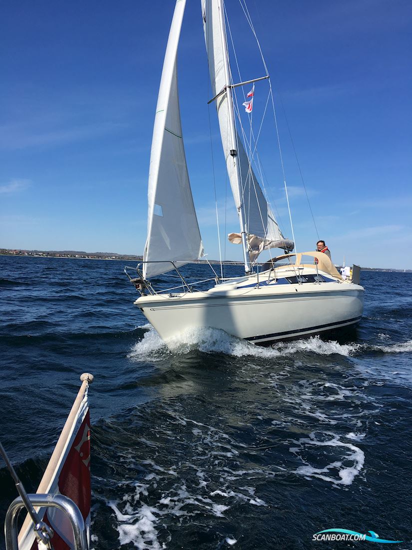 Maxi Fenix